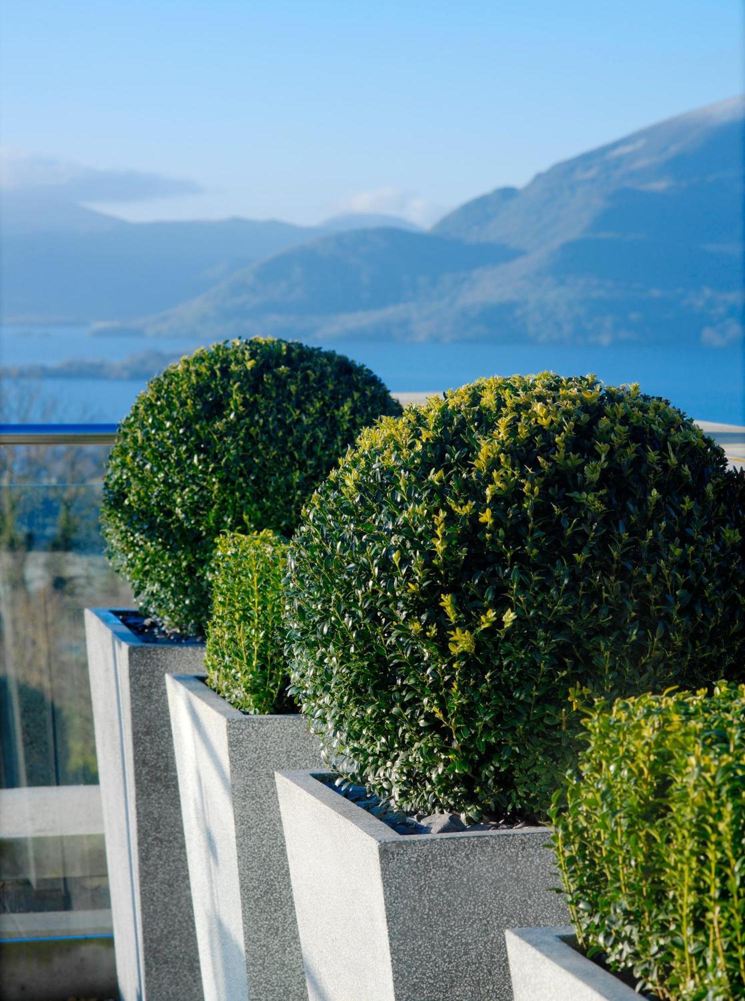 Aghadoe Heights Hotel & Spa Κιλάρνεϊ Εξωτερικό φωτογραφία Boxwood